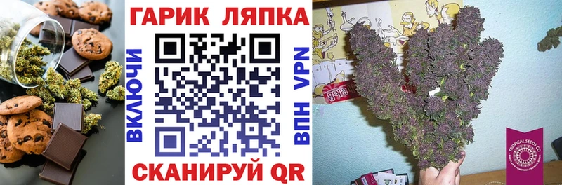 Купить закладки  Шимановск  Cannafood конопля 