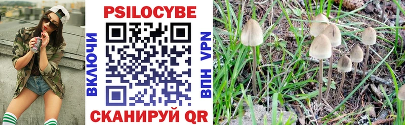 Купить  Шимановск  Псилоцибиновые грибы GOLDEN TEACHER 