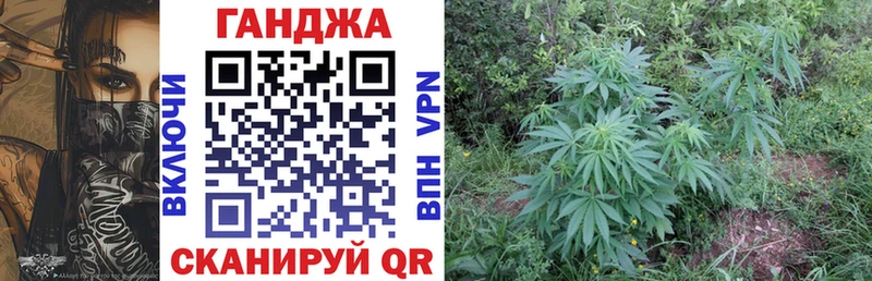 Купить закладки  Шимановск  Канабис план 